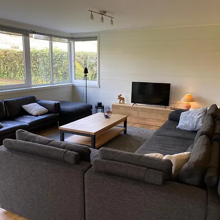 Le Greillis * دربي